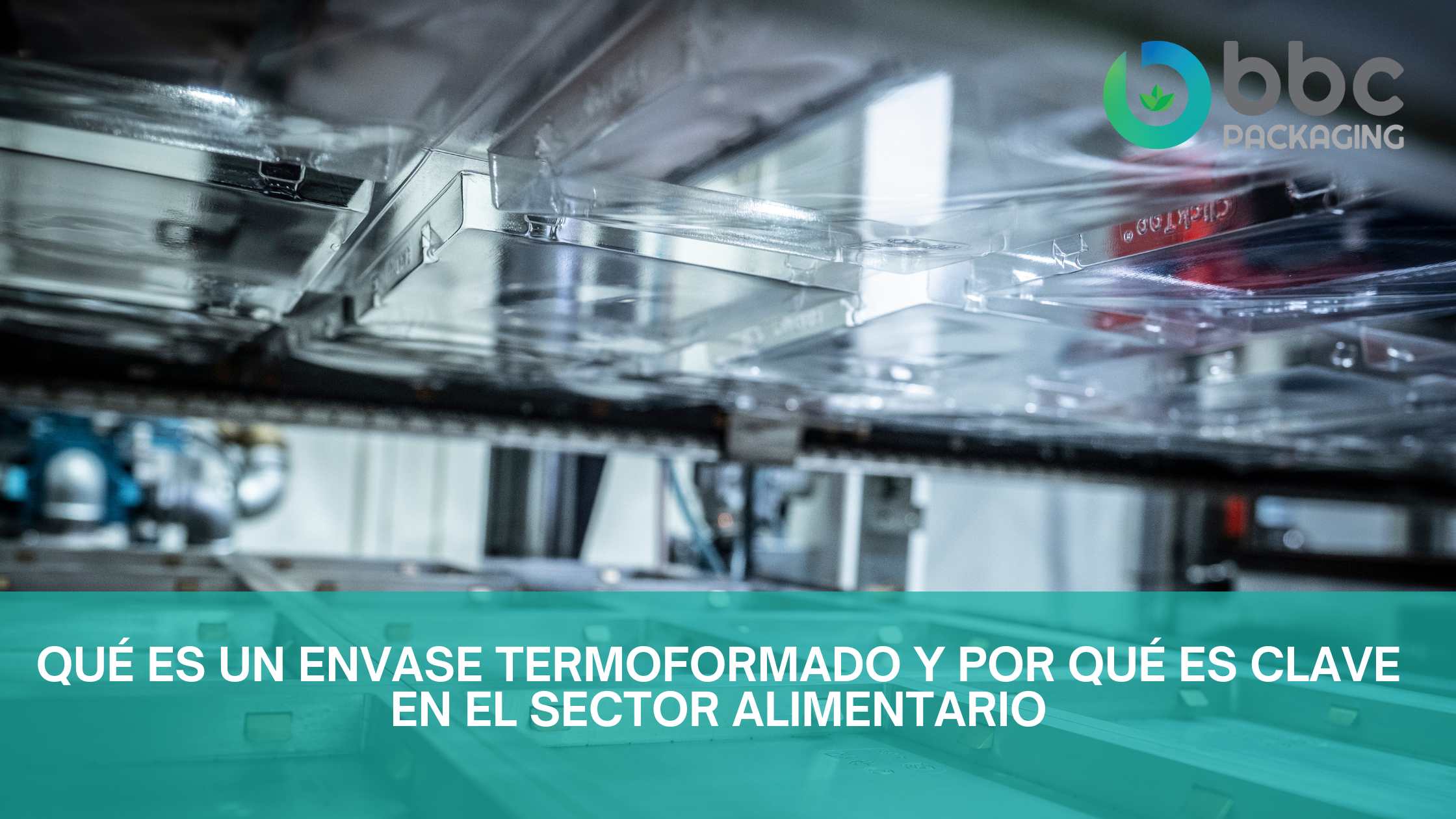 ¿Qué es un envase termoformado?