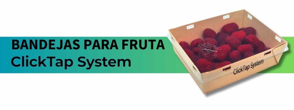 Envases para presentación, take away, delivery y caterings aptos para alimentos fríos y calientes 100% ecofriendly